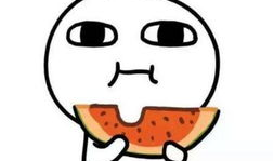 吃瓜爆料总群啥意思,网络舆论场中的神秘力量