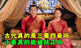 三妻四妾的电视剧,三妻四妾的权谋人生