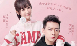 电视剧亲叔辣婶,温情岁月里的家庭传奇